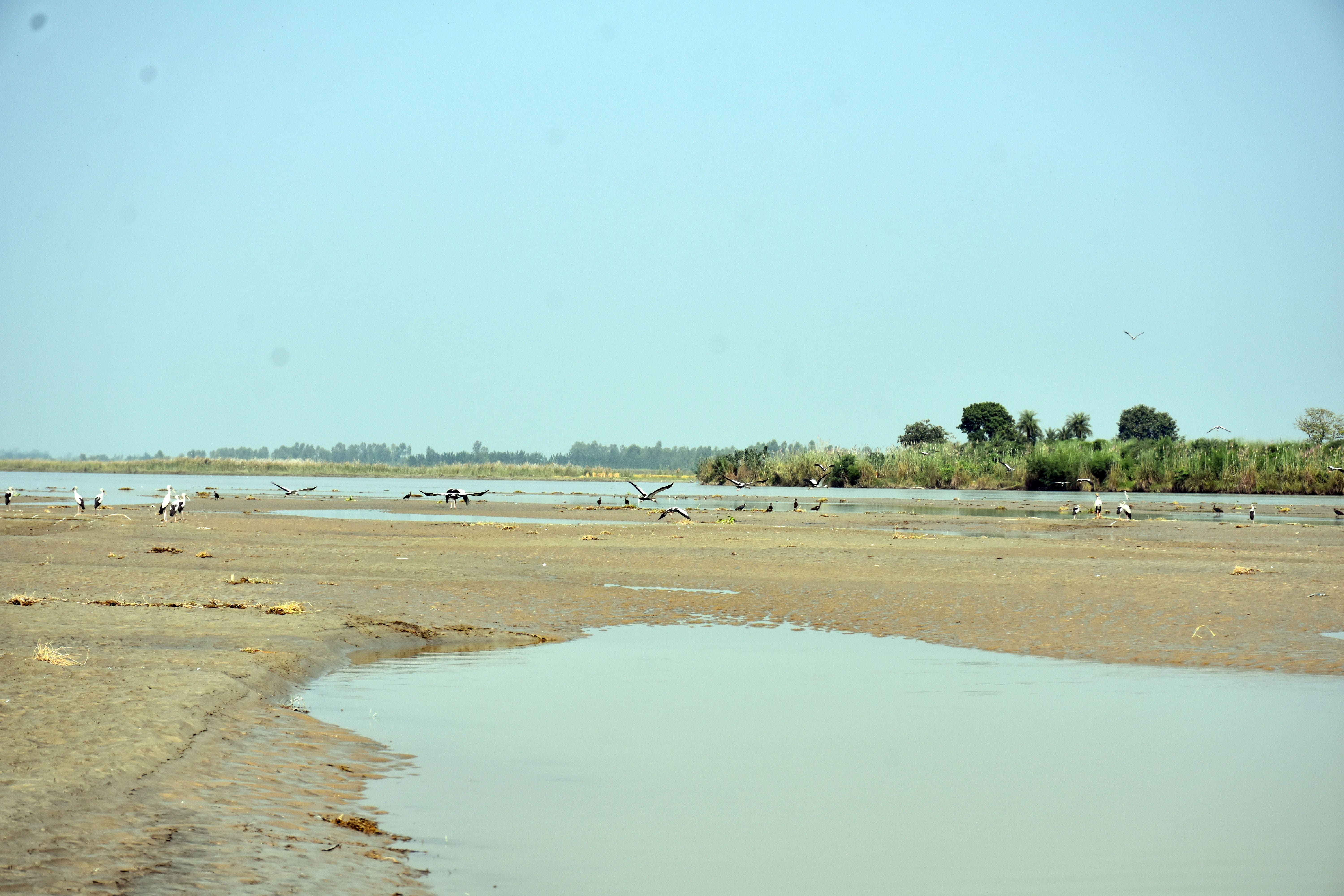 Birds Watching in Brijghat