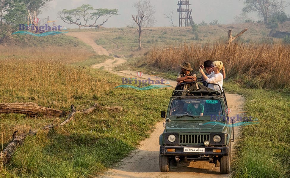 Jungle Safari in Brijghat